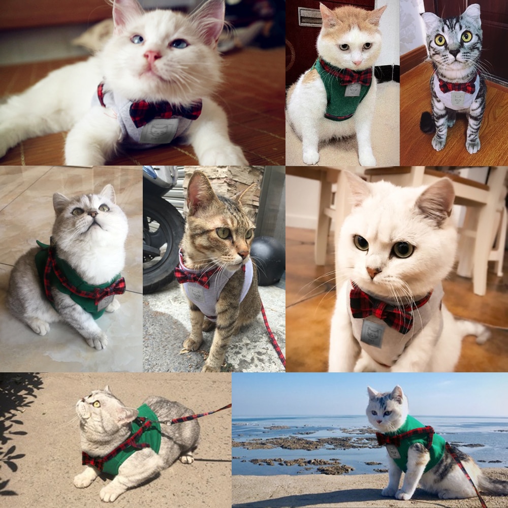 Cat Kitten Harness Nylon Puppy Small Dogs Vest Bowknot Cats Pet Harnesses and Leash Set