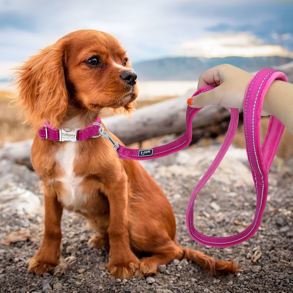 Reflective Dog Leash Nylon Warm Padded Pet Walking Lead Rope Pitbull Bulldog Dogs Outdoor Leashes Belt Night Safety With Handle