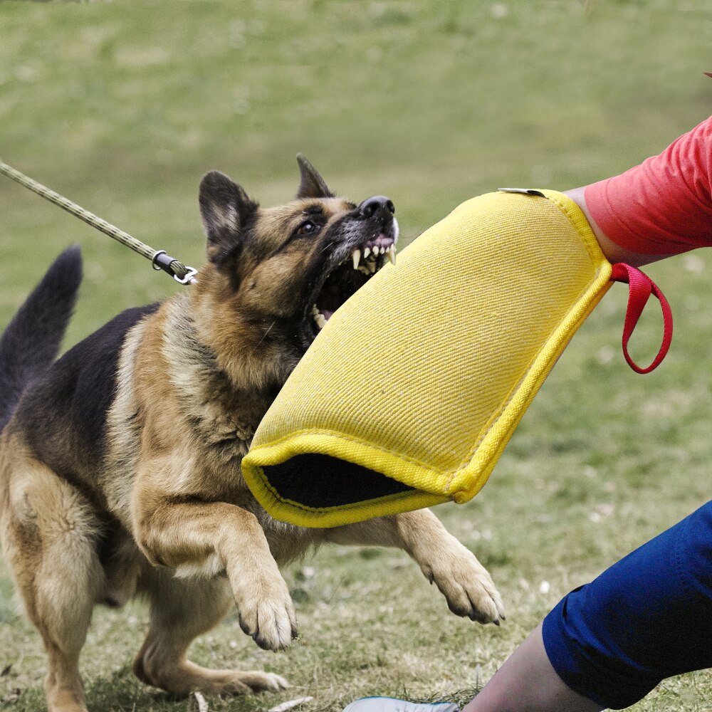 Dog Bite and Tug Toys
